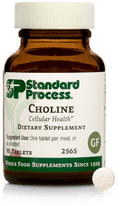 Choline, 90 Tablets